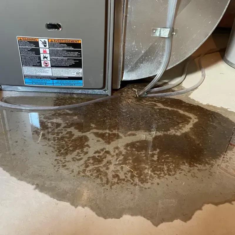 Appliance Leak Cleanup in Somerset, WI